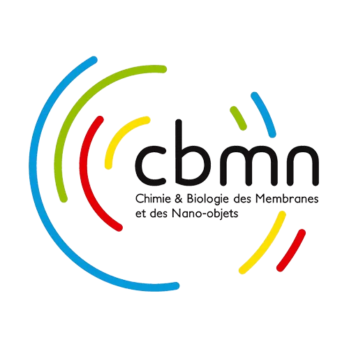 CBMN - Institute of Chemistry & Biology of Membranes & Nano-objects / Multi Scale Biophysics / Nano-Biotechnology and methodological developments in Atomic Force Microscopy