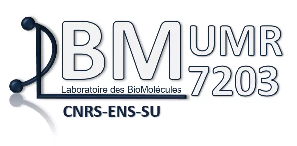 LBM - Laboratoire des Biomolécule