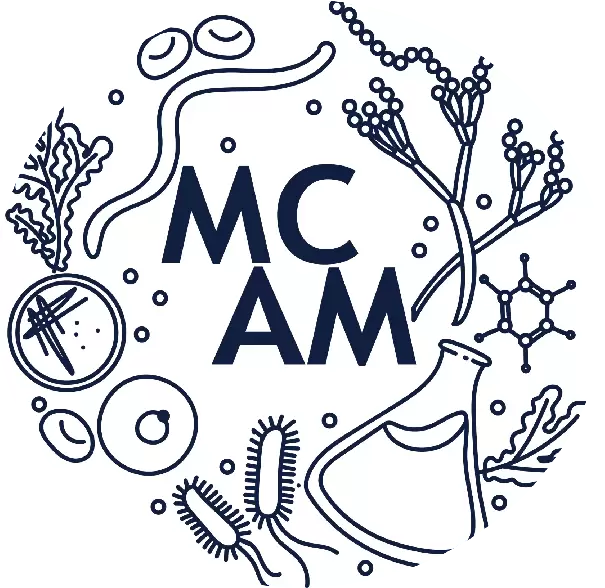 MCAM / BIM - Molécules de Communication et Adaptation des Microorganismes, Equipe Biochimie des Interactions Microbienne